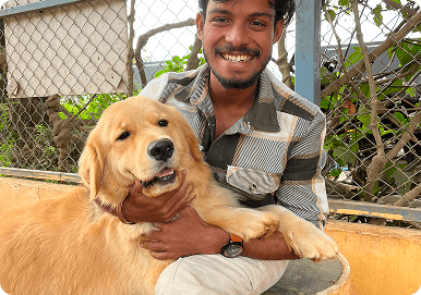 With pet